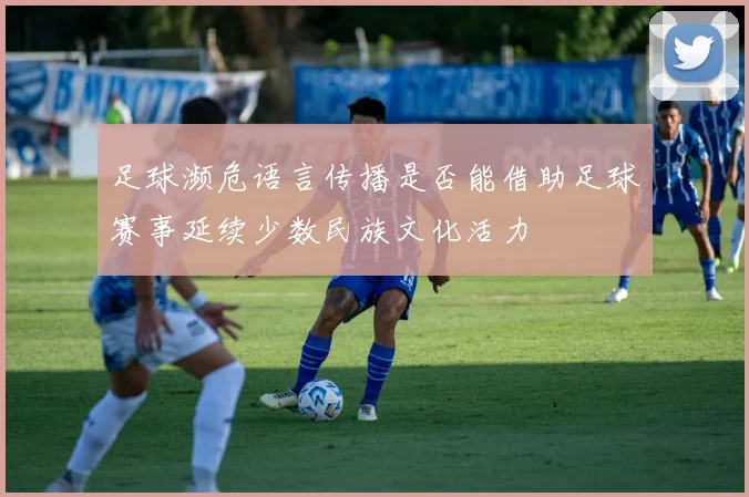 足球濒危语言传播是否能借助足球赛事延续少数民族文化活力